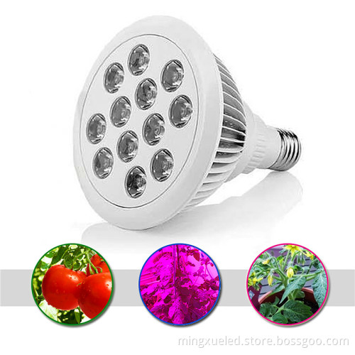 Helper Of Family Plant Light And greenhouse 12w Par LED grow light